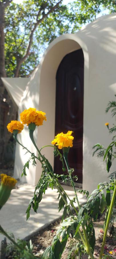 Hostel Done Right Phumi Chrouy Svay Exterior foto